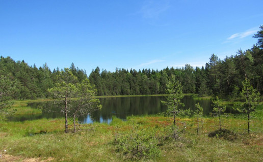 48_Seires take Piktezeris. A.Brazdeikytes n.jpg